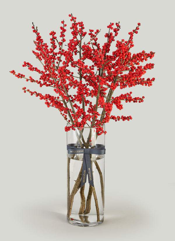 Ruby Ilex & Vase