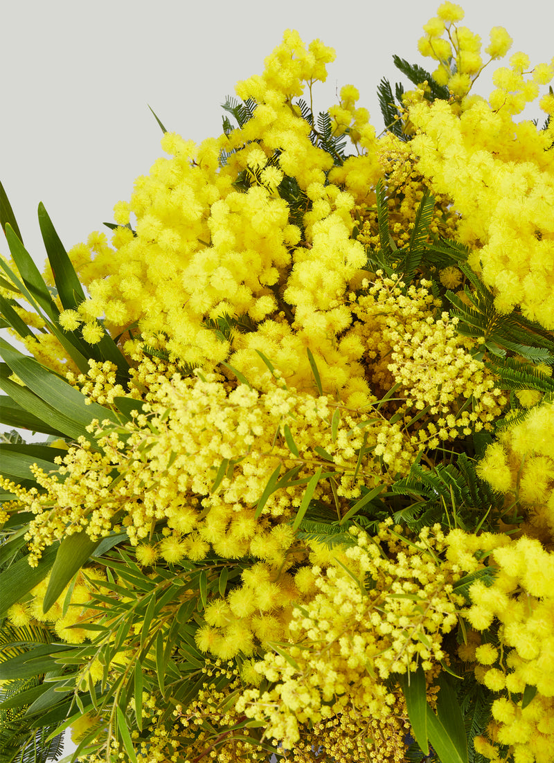 Forza Mimosa Bouquet