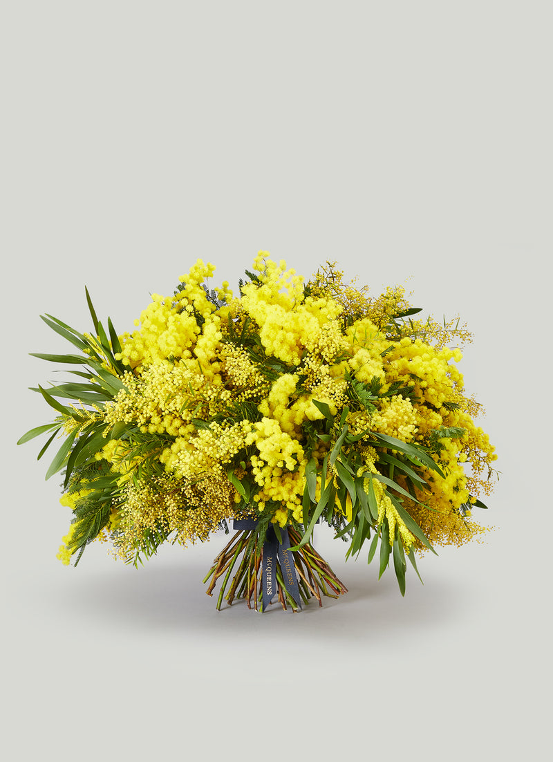 Forza Mimosa Bouquet